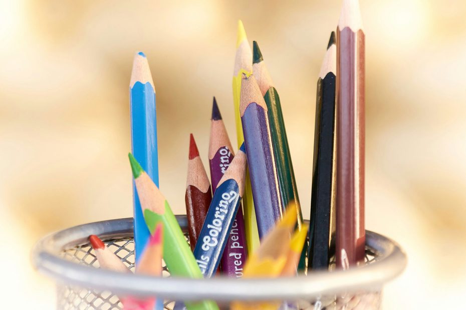 Colored pencils in pencil holder