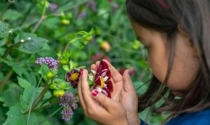 Girl looking at flower